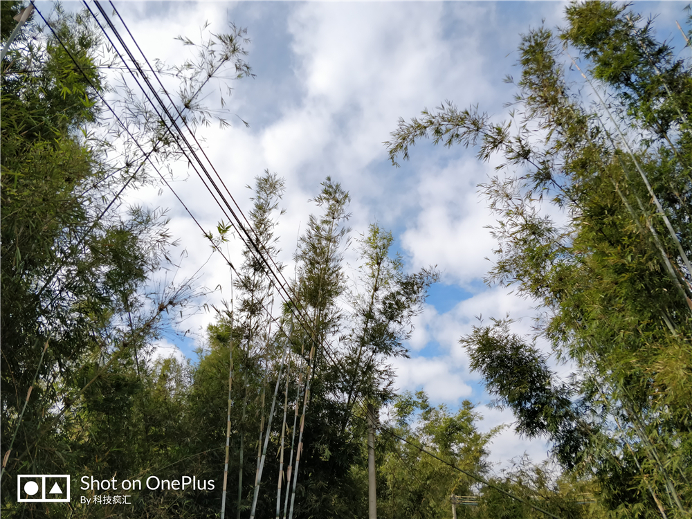 一加前世,一加以前的机型