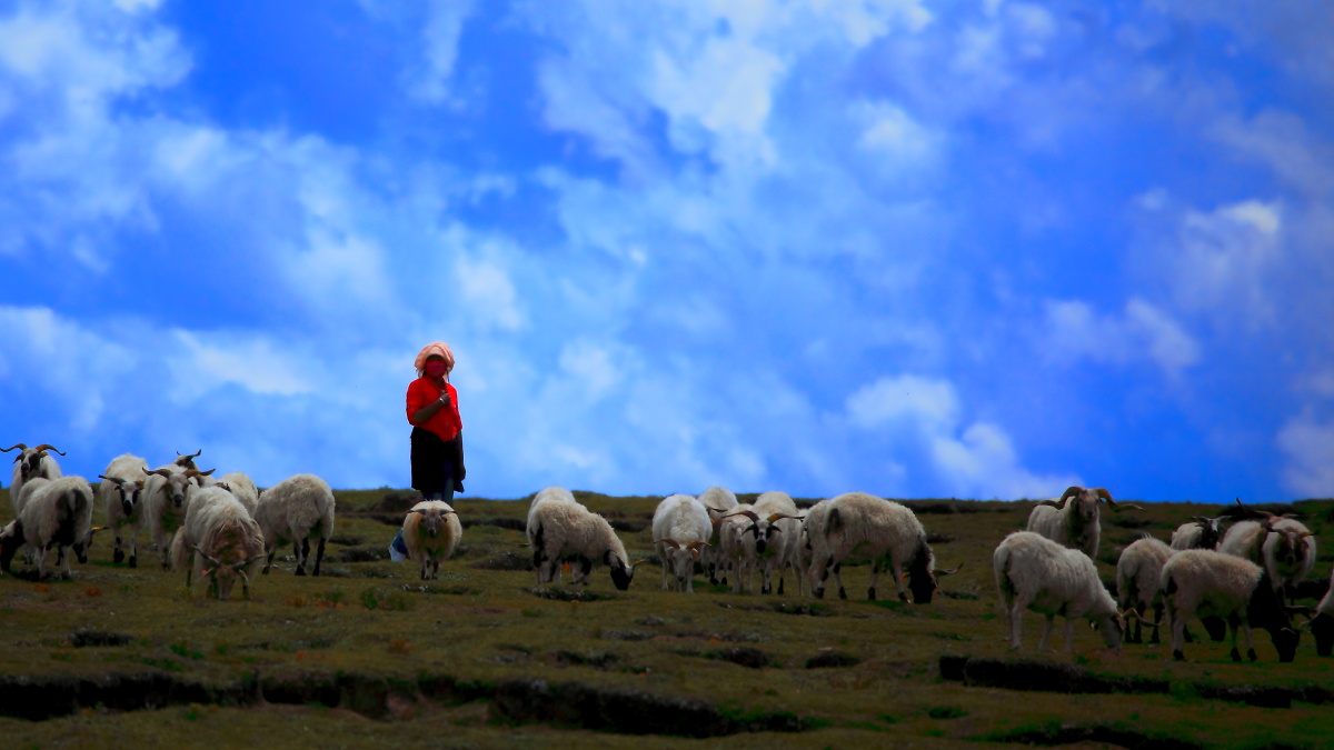 胡立阳的炒股秘笈45集视频,胡立阳炒股绝密秘诀