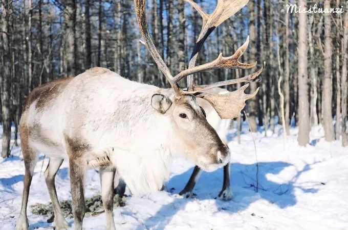我的2017全文,国家35个主要城市名单