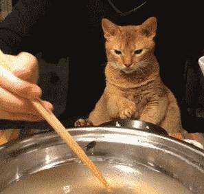 轻薄、舒适、不脱妆的粉底测评