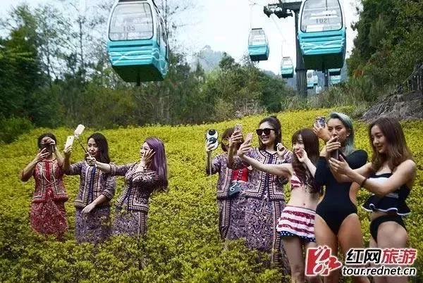 再见云南腾冲,再见2017动态图片