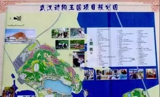 蔡甸，你凭什么这么牛？