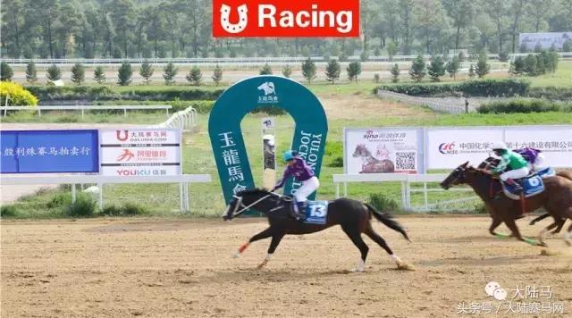 马业要闻,中国马业最受欢迎的俱乐部