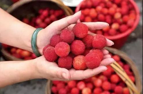 浙江采摘瓜果亲子游方案,金华采摘游最强攻略