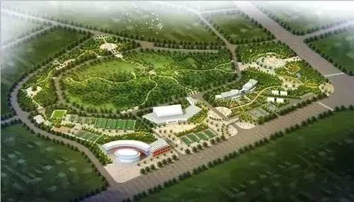 蔡甸，你凭什么这么牛？