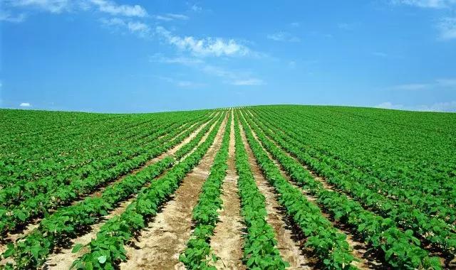 儒者的楷模，商界的精英——北京至尚福德投资管理集团白福才