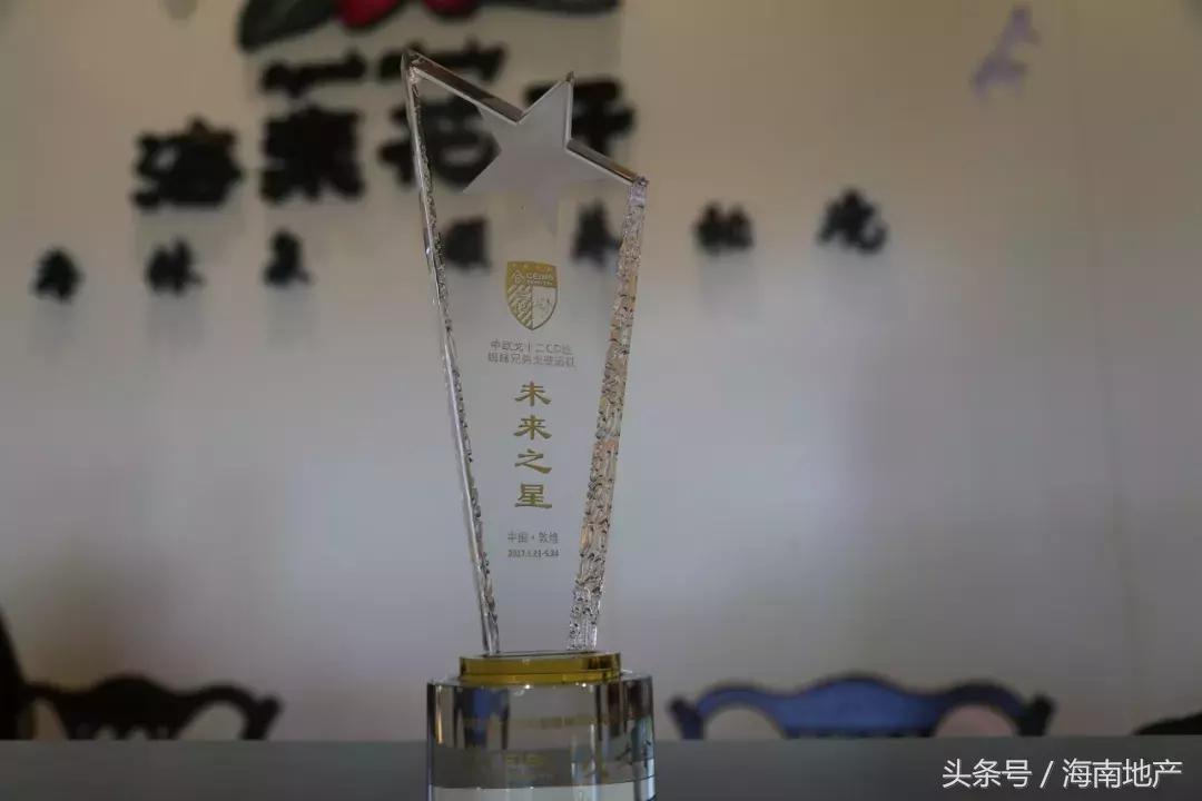 作别2017｜十大奖牌，记录成长勋章