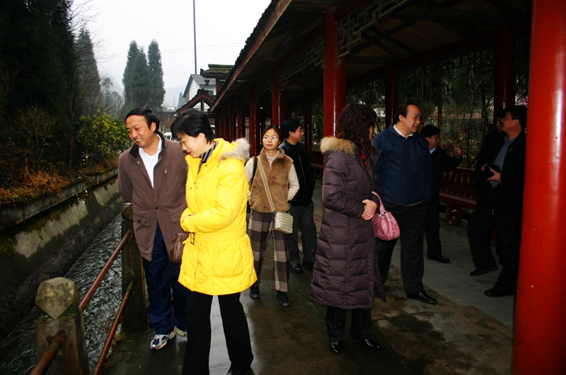 彭州龙门镇宝山村,四川彭州宝山村简介概况