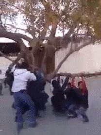 学校和学生间的幽默搞笑段子,小明和他的小伙伴们搞笑段子