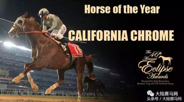 马业要闻,中国马业最受欢迎的俱乐部