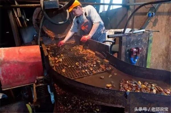 俄罗斯琥珀盗挖罚款涨百倍，普京搅动琥珀风云？！