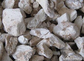 中药材市场行情变化无常,药材行情还会涨吗