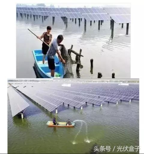 光伏农业基础知识,光伏农业项目经典案例