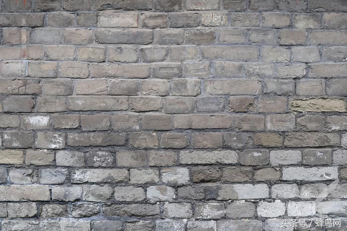 超高像素微距镜头,性价比超高的500万微距镜头