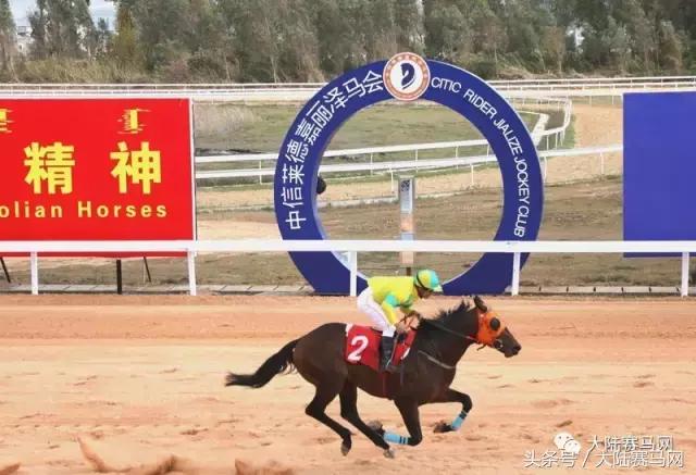 马业要闻,中国马业最受欢迎的俱乐部