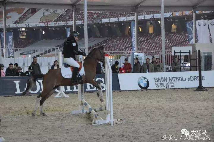 马业要闻,中国马业最受欢迎的俱乐部