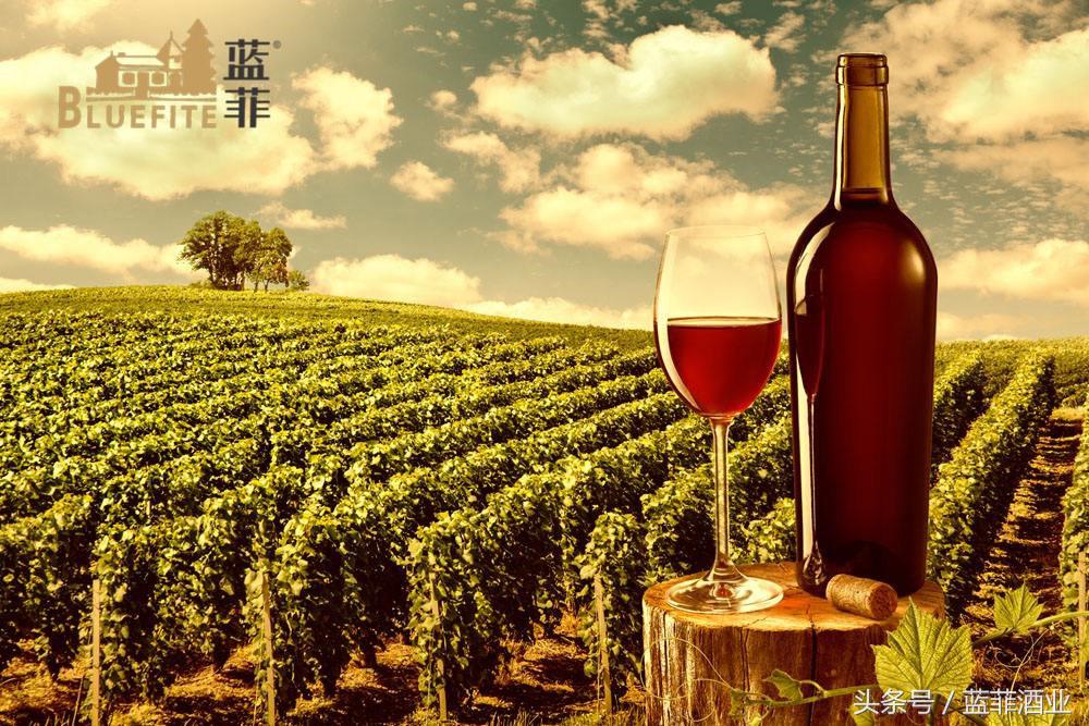 红酒代理商：如何让消费者购买你的葡萄酒？