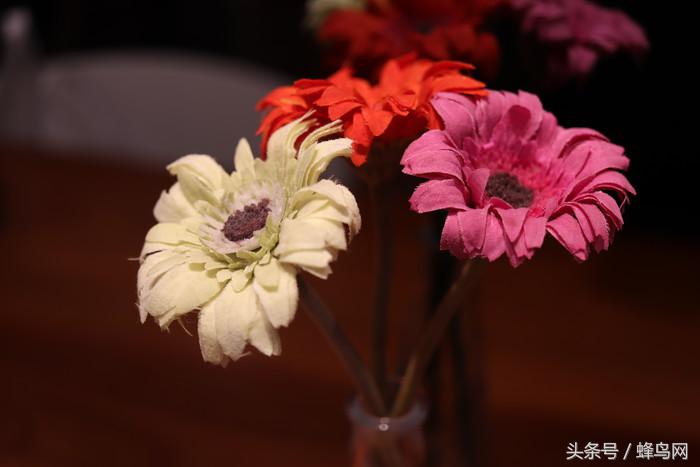 超高像素微距镜头,性价比超高的500万微距镜头