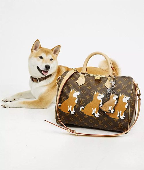 lv阿玛尼时装,lv阿玛尼纪梵希