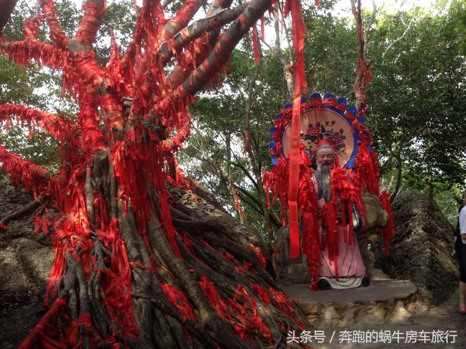 房车旅游最美游记,房车19天环岛旅游攻略