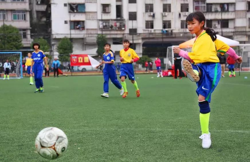 厉害了肇庆大湾区,厉害了肇庆