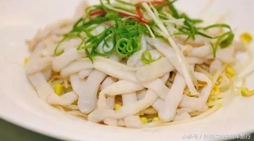 房车旅游最美游记,房车19天环岛旅游攻略