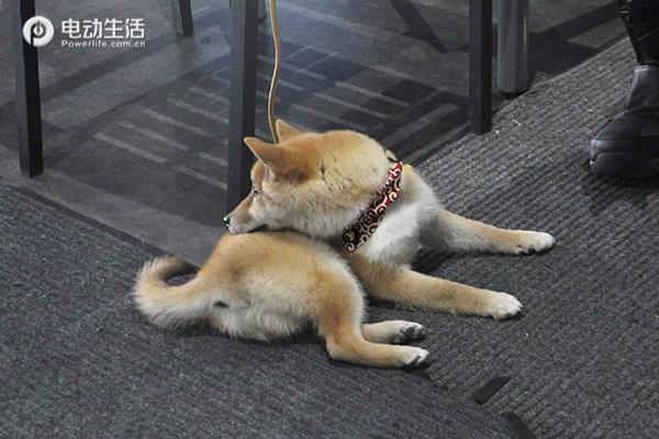 石京龙滑雪场滑雪视频,石京龙滑雪场提供的装备