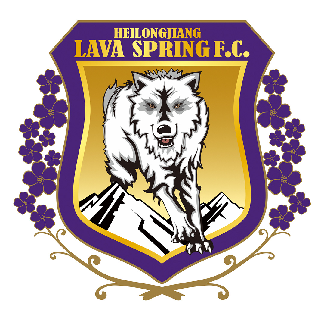 黑龙江冰雪足球,黑龙江冰雪经济存在的问题