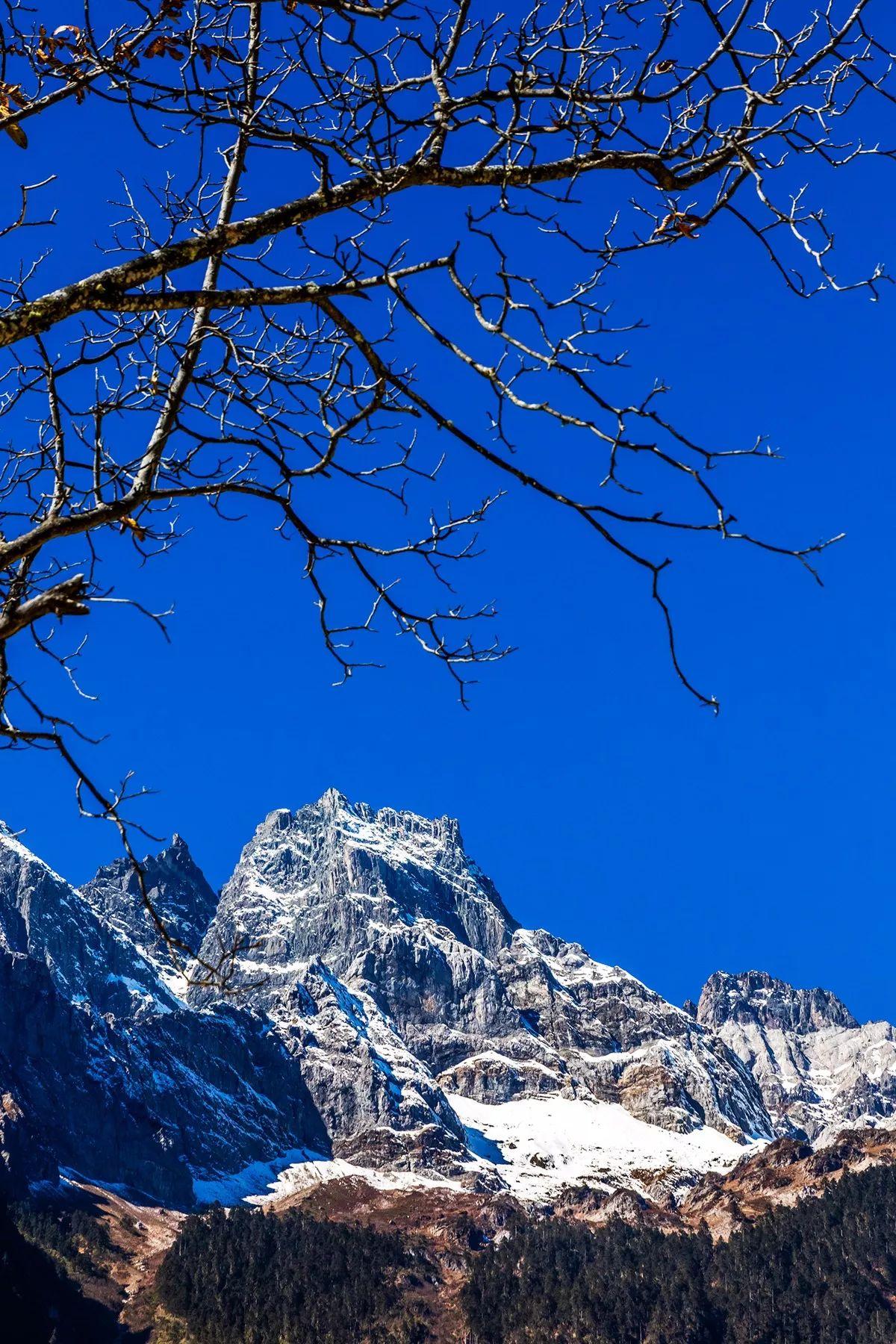 关于冬季里的温暖的故事,天冷了要听一些温暖的故事