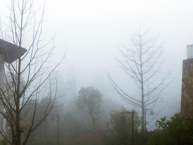 我和玛莎拉蒂的故事,我与玛莎拉蒂的故事