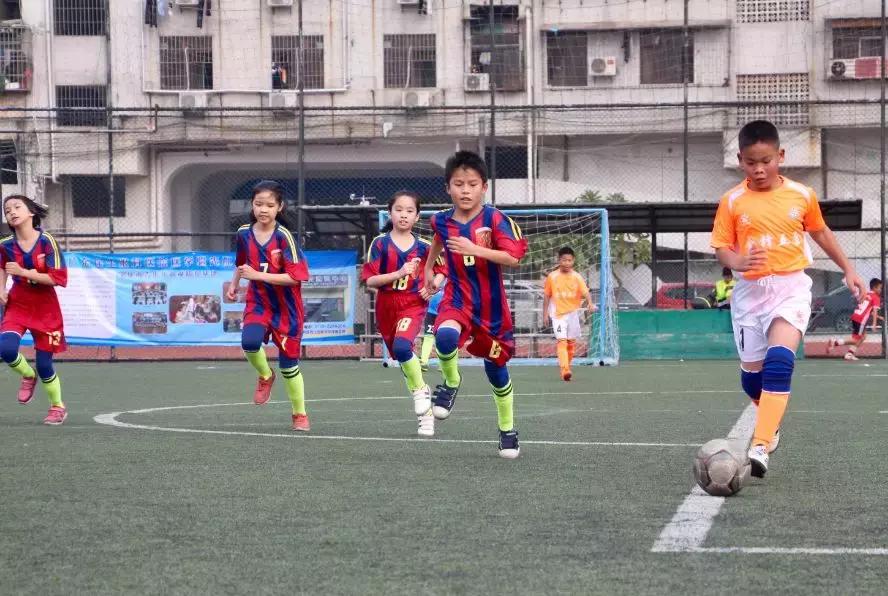 厉害了肇庆大湾区,厉害了肇庆