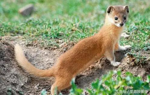 九年第马香童教你如何防止被骗