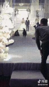 如何策划一场浪漫又有创意的婚礼,如何让你的婚礼创意十足