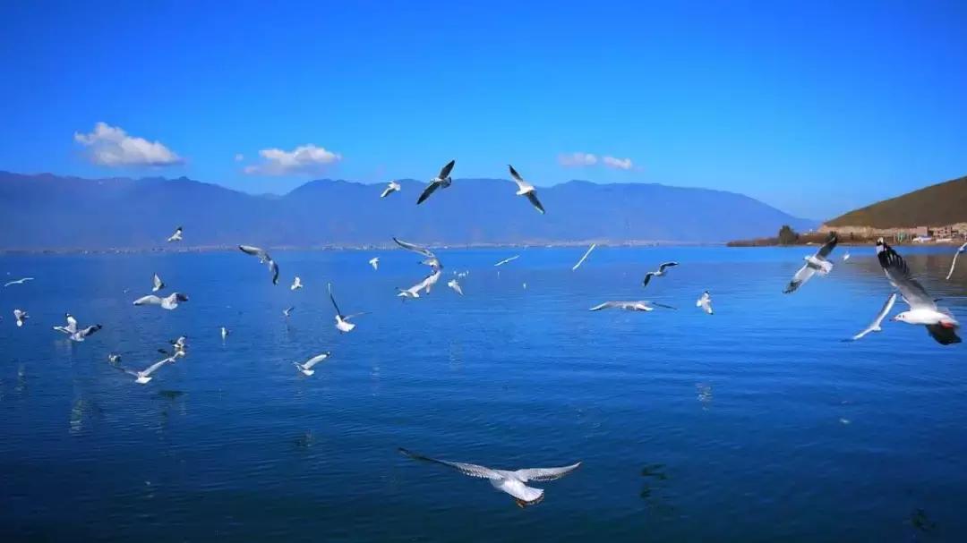 一月份从成都去这些地方，机票便宜到没朋友！最低才不到200元！