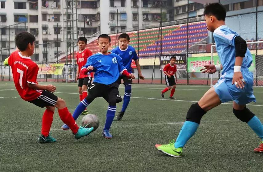 厉害了肇庆大湾区,厉害了肇庆