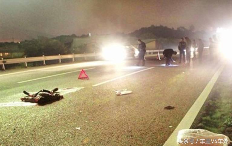 开车正常行驶撞死人了会什么后果,汽车在公路上撞死狗要赔钱吗