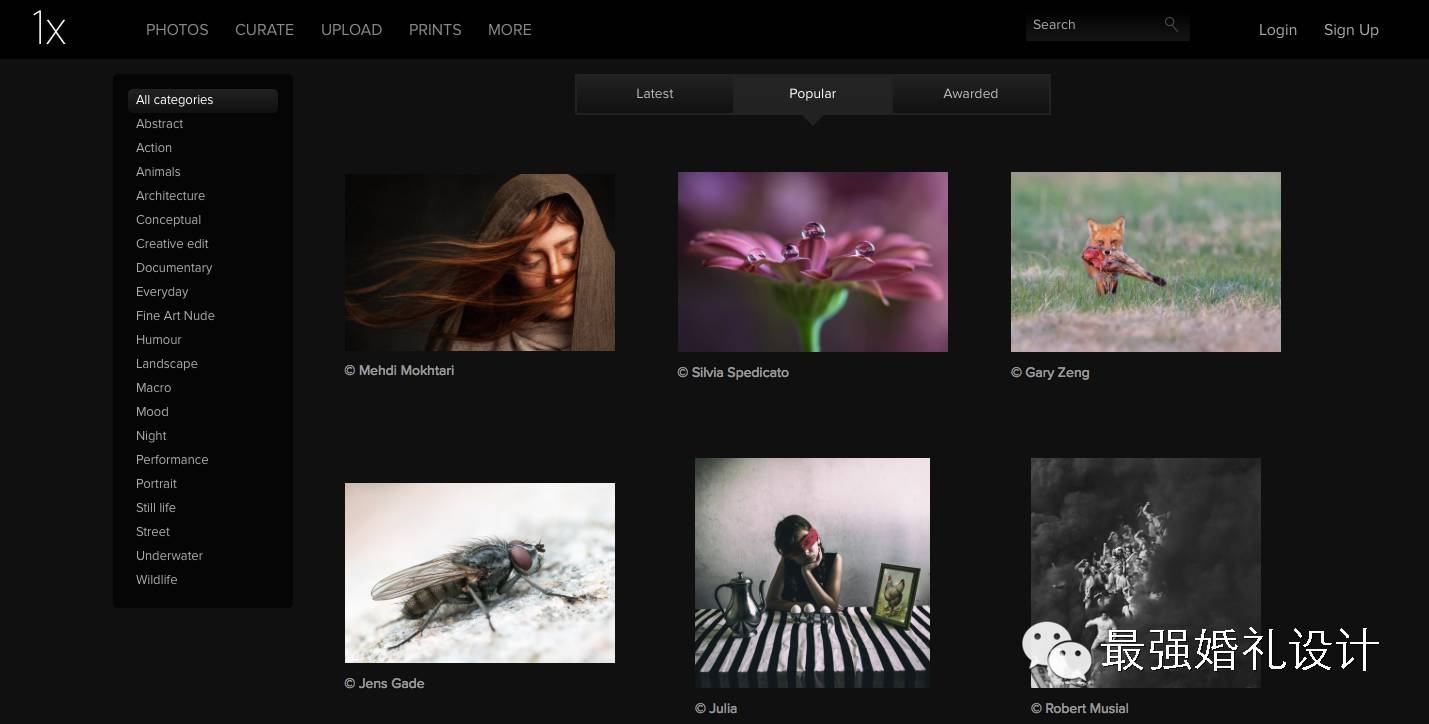 免费的灵感网站,五大灵感网站