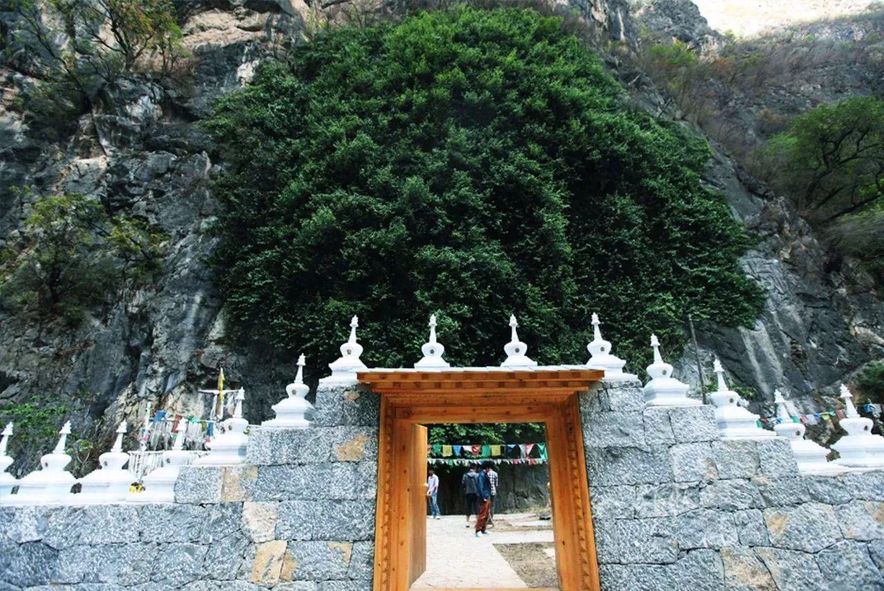 关于冬季里的温暖的故事,天冷了要听一些温暖的故事