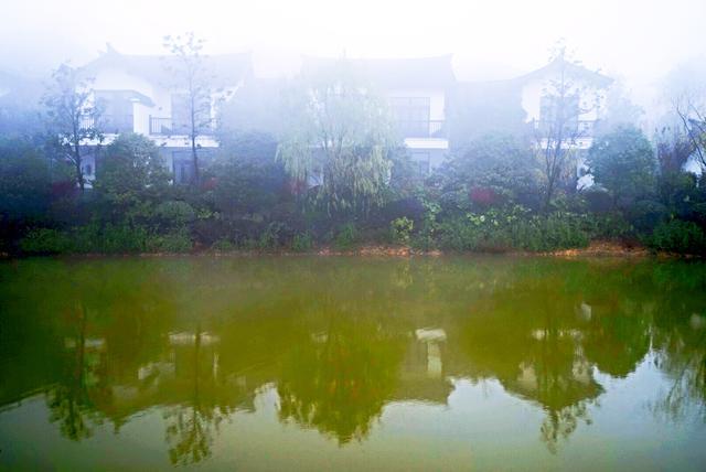 我和玛莎拉蒂的故事,我与玛莎拉蒂的故事