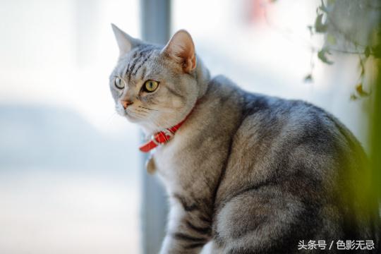 佳能85mmf1.4实图及报价,佳能85mmf1.8人像测评