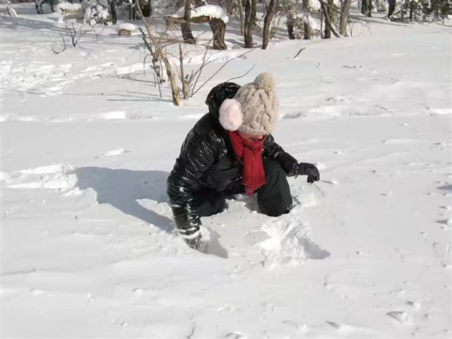 这次雪乡宰客怎么样,泰国雪乡宰客完整视频