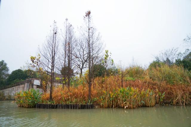 我和玛莎拉蒂的故事,我与玛莎拉蒂的故事