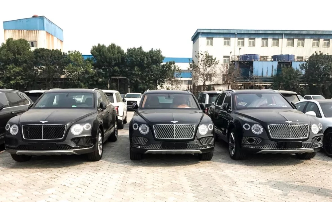 天津明悦天黄健海：人到中年，莫道桑榆晚