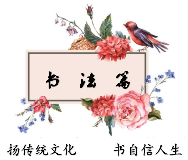 璀璨校园舞台绽放自信色彩——南宁市兴宁区中南小学第六届校园文化艺术节纪实