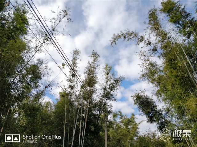 资深极客上手一加5T，顺便给你聊聊它的前世今生