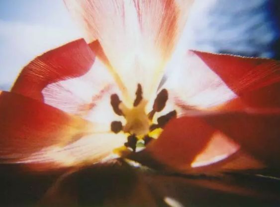 如何选择拍立得相机,复古拍立得相机ins高级感