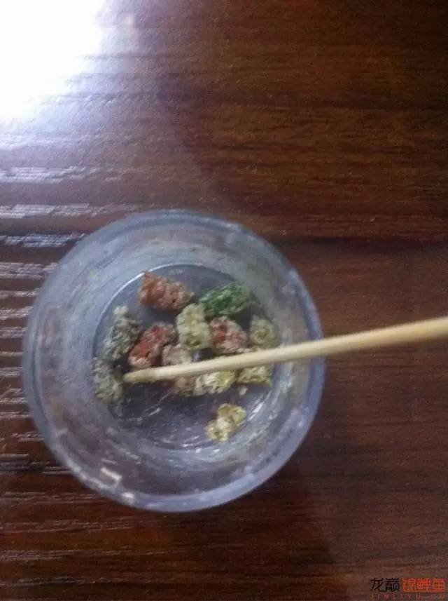 新入缸的锦鲤轻度烂嘴怎么治最快,锦鲤烂嘴烂鳍能自愈吗