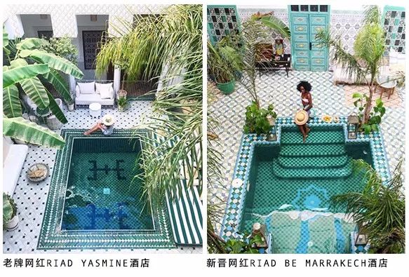 omg网红街城市森林秘境,omg佛系少女