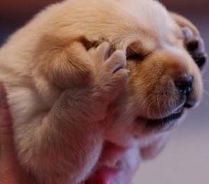 鑰佸笀鎯╃綒浣犵殑鍑犱釜鏂瑰紡,鑰佸笀鍚勭鎯╃綒鎷涘紡