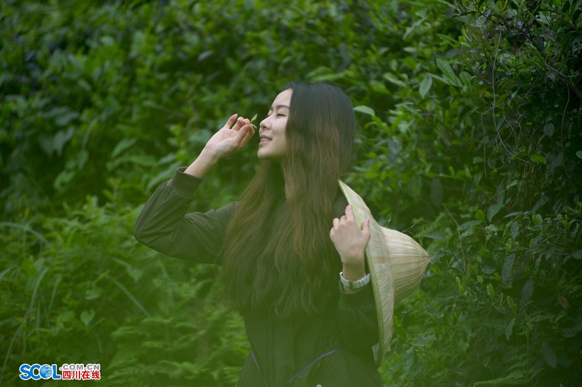 成都都江堰市达人探店,都江堰旅游达人